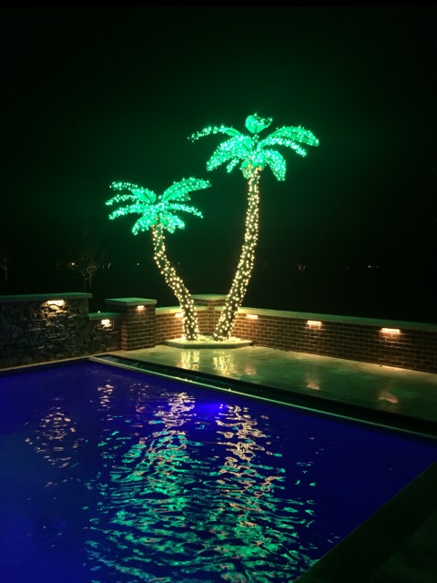 Cco Holiday Lighted Palm Trees Circle, Light Up Palm Trees For Outdoors